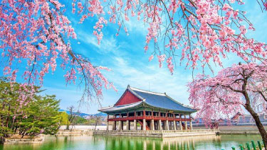 To South Korea
